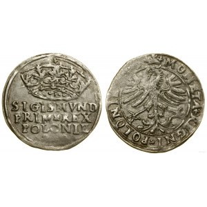 Polska, grosz, 1545 (?), Kraków
