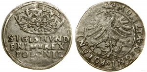 Polen, Pfennig, 1545 (?), Krakau