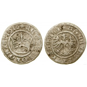 Pologne, demi-penny, 1510, Cracovie