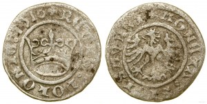 Pologne, demi-penny, 1510, Cracovie