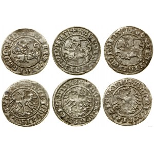 Polen, Satz von 3 halben Pfennigen, 1511, 1512 und 1514, Vilnius