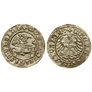 Poland, half-penny, 1513, Vilnius