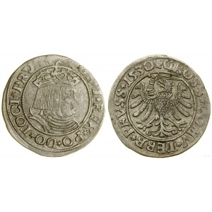 Pologne, penny, 1530, Toruń
