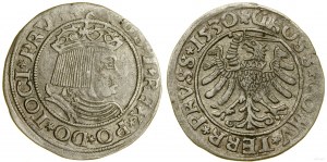 Pologne, penny, 1530, Toruń