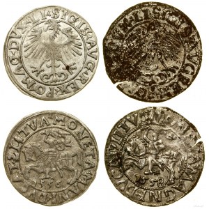 Polen, Satz von 2 halben Pfennigen, 1556 und 1558 (Fälschung), Vilnius