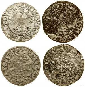 Polen, Satz von 2 halben Pfennigen, 1556 und 1558 (Fälschung), Vilnius