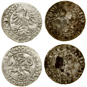 Polska, zestaw 2 półgroszy, 1563 (fałszerstwo z epoki) i 1565, Wilno