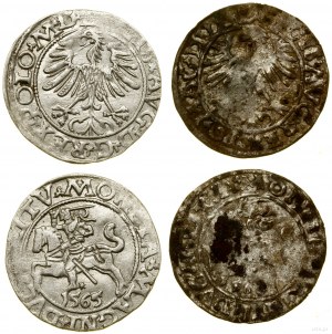Polska, zestaw 2 półgroszy, 1563 (fałszerstwo z epoki) i 1565, Wilno