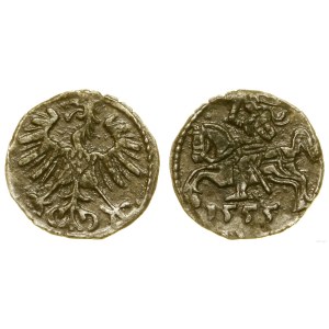 Polska, denar, 1555, Wilno