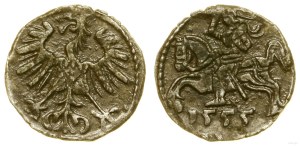 Poland, denarius, 1555, Vilnius