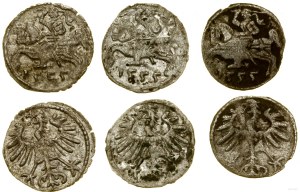 Polonia, serie di 3 x denari, 1555, Vilnius