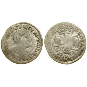 Pologne, sixième, 1682 TLB, Bydgoszcz