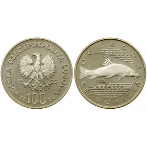 Polsko, 100 zlotých, 1977, Varšava