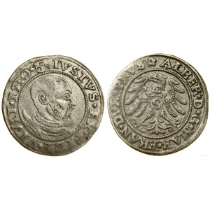 Prusse ducale (1525-1657), sou, 1530, Königsberg