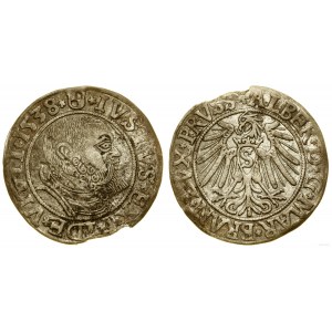 Prussia Ducale (1525-1657), penny, 1538, Königsberg
