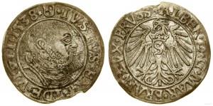 Prusse ducale (1525-1657), sou, 1538, Königsberg