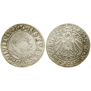 Prusse ducale (1525-1657), sou, 1541, Königsberg