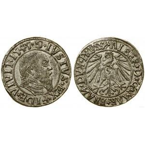 Prusy Książęce (1525-1657), grosz, 1545, Królewiec