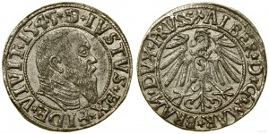 Kniežacie Prusko (1525-1657), groš, 1545, Königsberg