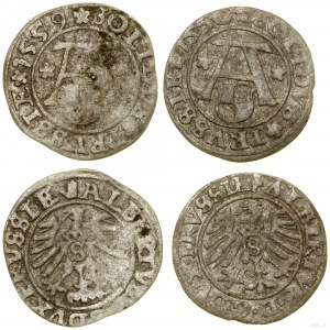 Prusse ducale (1525-1657), série de 2 shekels, 1550 et 1559, Königsberg