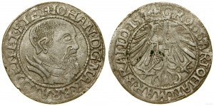 Schlesien, Pfennig, 1544, Krosno