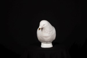 Sylwia WALANIA-TELEGA (b. 1995), White Dove, 2023