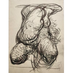 Franciszek Starowieyski, Act,