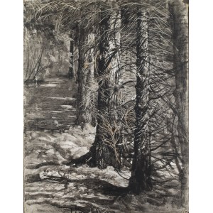 Leon Wyczółkowski (1852 Huta Miastkowska - 1936 Warszawa), Pejzaż leśny, 1927
