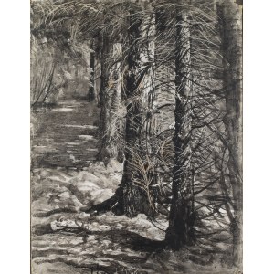 Leon Wyczółkowski (1852 Huta Miastkowska - 1936 Varsavia), Paesaggio forestale, 1927
