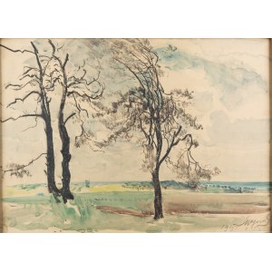 Leon Wyczółkowski (1852 Huta Miastkowska - 1936 Warszawa), Pejzaż z drzewami, 1919