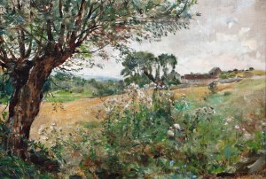 MOREAU ADRIEN (Francie 1843-1906) - Krajina