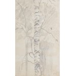 SPALA VACLAV (Czech / Bohemian 1885-1946) - Birch tree