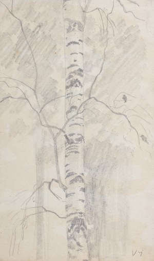 SPALA VACLAV (Czech / Bohemian 1885-1946) - Birch tree