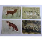 SET VON 9 POSTKARTEN TIERE, GESTALTET VON JERZY HEINTZE, REH, DACHS, OTTER, BISON, HIRSCH, WOLF, FUCHS, LUCHS, WILDSCHWEIN