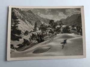 CARTE POSTALE TATRA