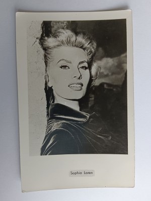 ZDJĘCIE SOPHIA LOREN