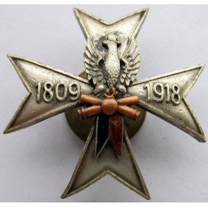 Polska, II RP, Odznaka Dywizjonu Artylerii Konnej (1809-1918)