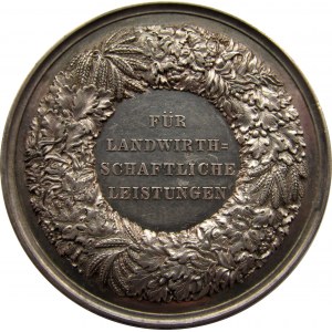 Niemcy, medal-nagroda państwowa za zasługi rolnicze 1878, sygnowany D. Loos