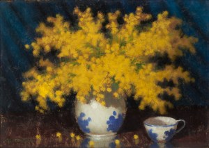 Marian Szczerbiński (1900-1981), Mimosen