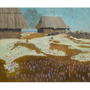 Alfred Terlecki (1883 Kielce - 1973 Zakopane), Crocus sur un alpage, 1914.