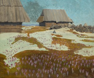 Alfred Terlecki (1883 Kielce - 1973 Zakopane), Crocus sur un alpage, 1914.