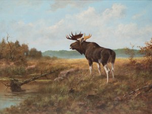 Georg Majewicz (1897 Polkowice - 1965 Münchberg), Moose at a watering hole