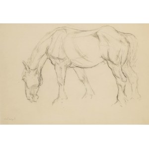 Stefan Wegner (1901 Sosnowiec - 1965 Łódź), cavallo