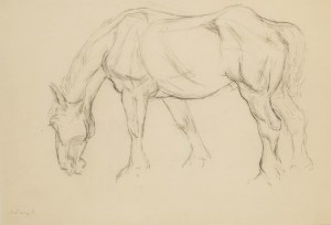 Stefan Wegner (1901 Sosnowiec - 1965 Łódź), cheval