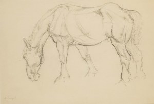 Stefan Wegner (1901 Sosnowiec - 1965 Łódź), Horse