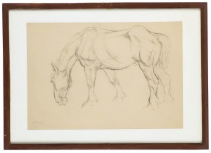 Stefan Wegner (1901 Sosnowiec - 1965 Łódź), Horse