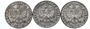 II RP, Zestaw 50 groszy 1938