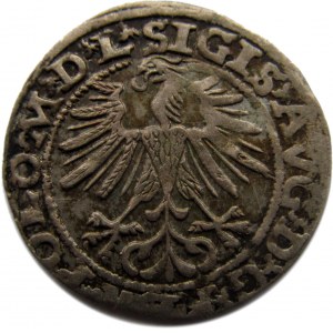 Zygmunt II August, półgrosz 1563, Wilno