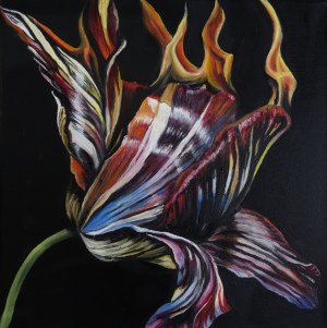 Marta Julia PIÓRKO (b. 1981), Burning tulip, 2024