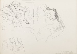 Barbara Falender (ur. 1947, Wrocław), Szkice do rzeźby 